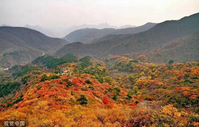 2019北京秋季赏叶指南，这12处地儿景美人少