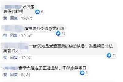 网友评论截图。图源：环球网