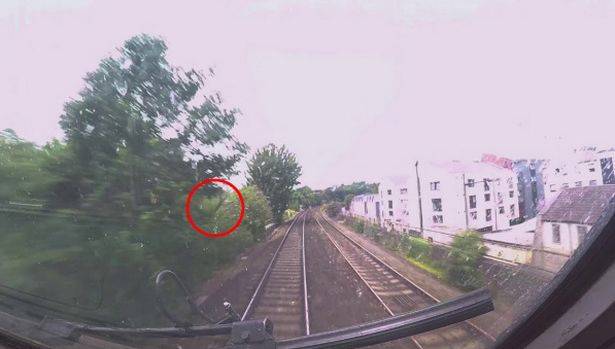英国28岁女子搭火车时头伸出窗外 不慎撞树身亡