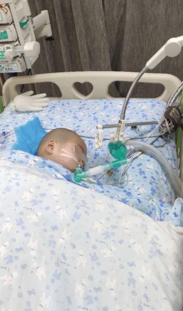 受害儿童王俊熙目前仍在昏迷。受访者供图