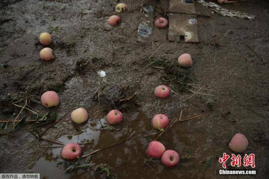 台风“浣熊”袭日“海贝思”肆虐灾区或将遭洪水