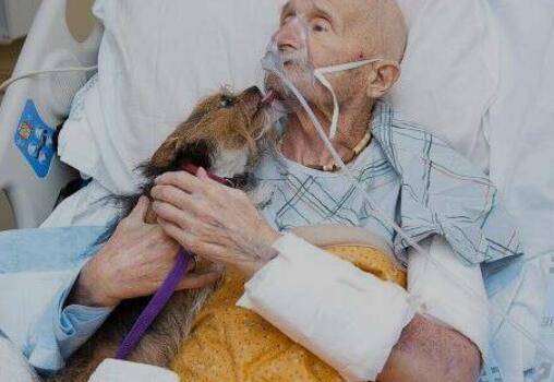 美国老兵与爱犬重聚（图源：福克斯新闻）