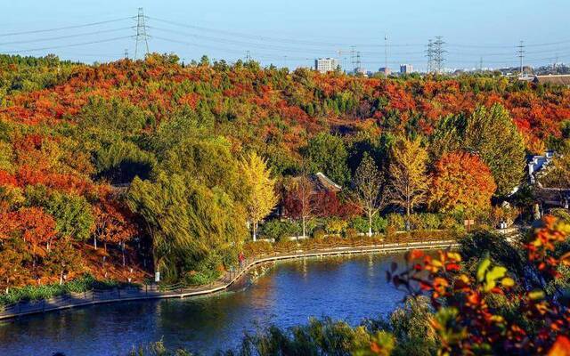 全市推出16个秋季红叶打卡地，市区远郊都能赏