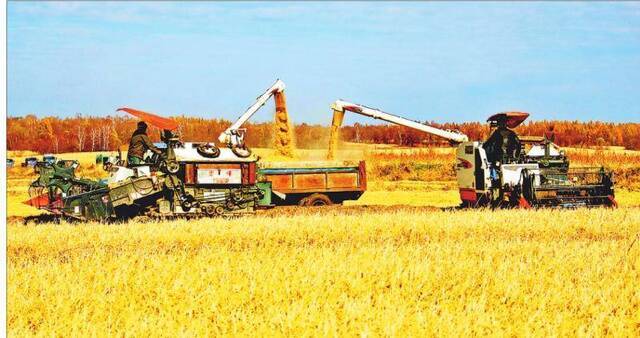 垦区水稻大豆秋收全面告捷