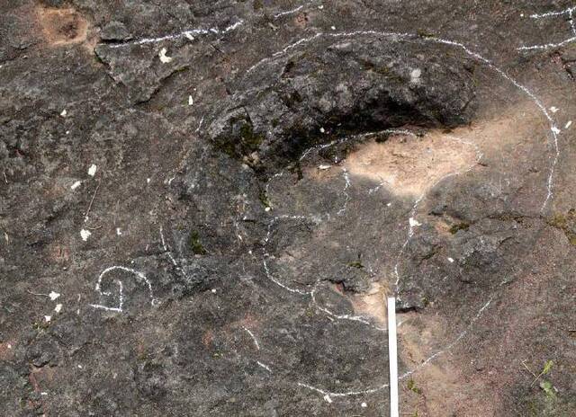 浙江一处亿年前恐龙脚印被村民填了 已封山保护