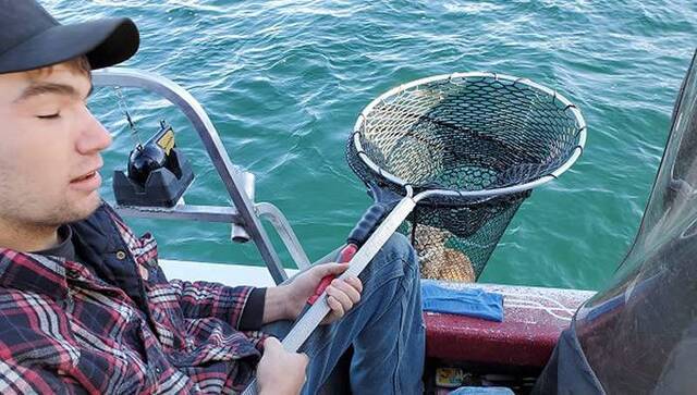美国蒙大拿州网友湖泊钓鱼居然捞到一只野生短尾猫暖家庭送回山林