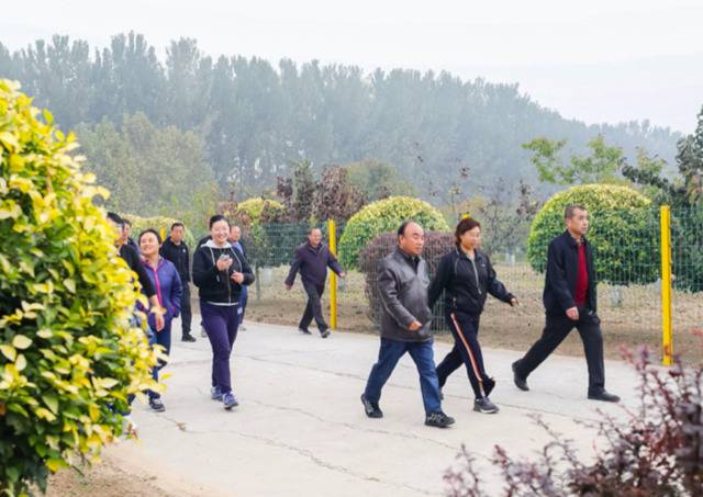 赏彩叶、拍秋景，北京市黄垡苗圃开启彩叶文化节