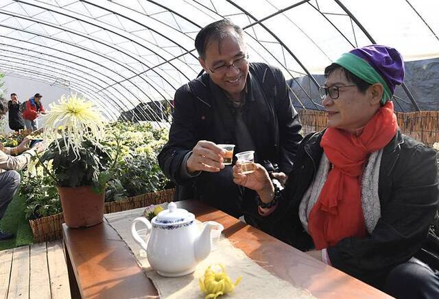 赏菊品菊画菊平谷西柏店菊花美食文化节开幕