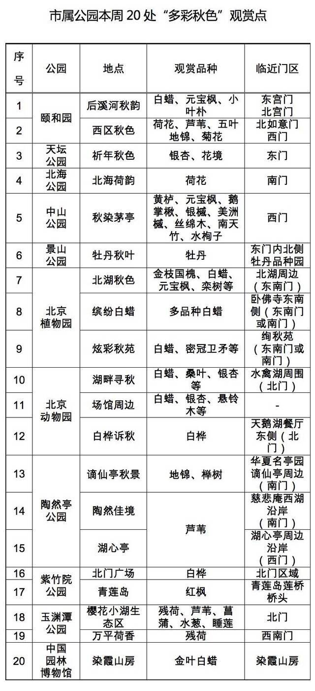 白蜡银杏、芦苇残荷，北京市属公园20处秋景本周可赏