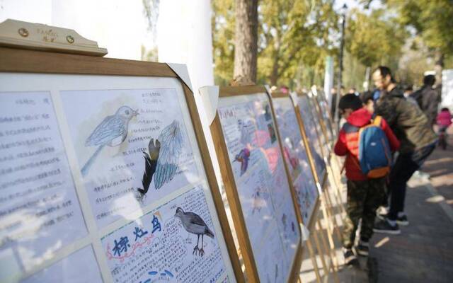 北京举办自然观察笔记成果展，百余幅中小学生作品亮相