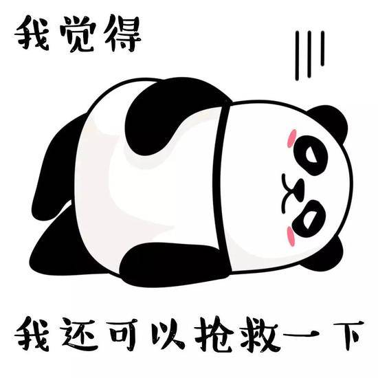 国际熊猫日何以解忧？唯有滚滚表情包(图)
