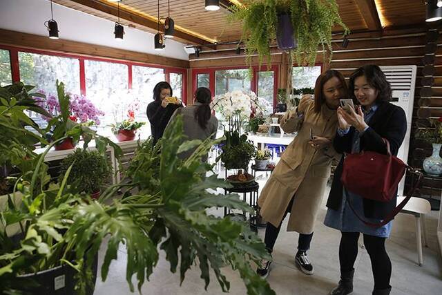 园艺驿站遍布家门口 市民做花匠体验“绿色生活”