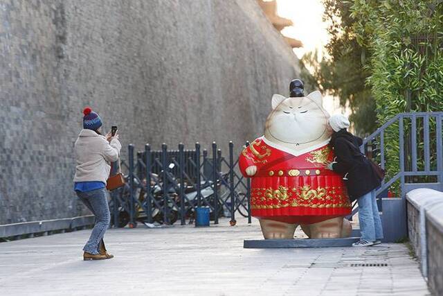 故宫新增“御林军“神武门外“御猫”上岗