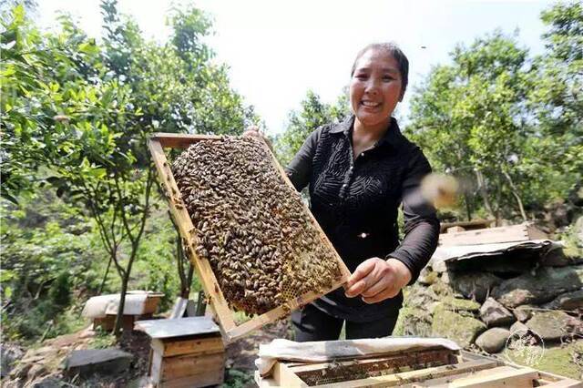 扶贫工作者“骂”贫困户视频曝光 意外获赞无数