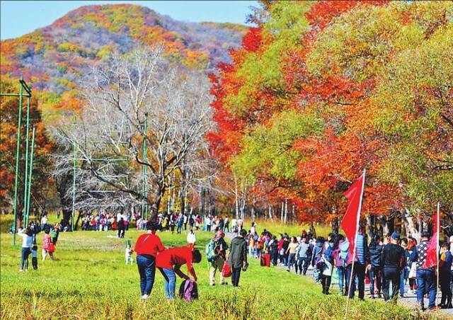 森工集团生态优先守住绿水青山