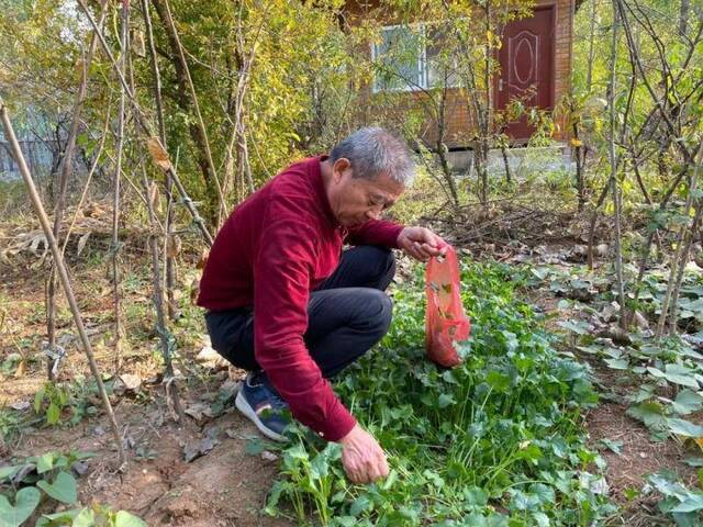 黄维平注重养生，喜欢吃自己种的菜。新京报记者祖一飞摄