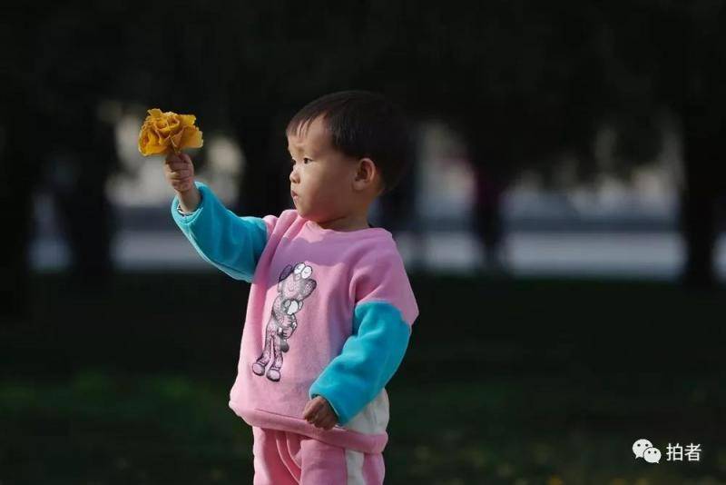 “人间天堂”是什么模样？看看北京的秋天你就知道了