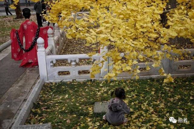 “人间天堂”是什么模样？看看北京的秋天你就知道了