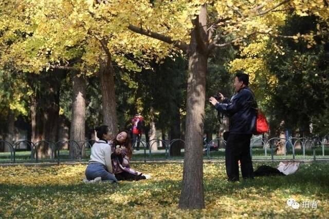 “人间天堂”是什么模样？看看北京的秋天你就知道了