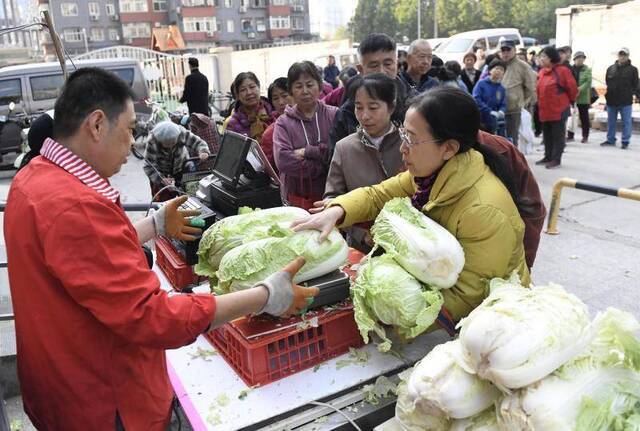 现在冬季蔬菜供应十分丰富，但购买冬储大白菜依然是北京人的情怀。摄影/新京报记者吴宁