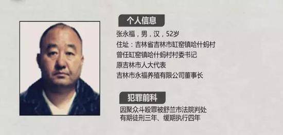 省委书记点名的“黑老大”被判无期徒刑