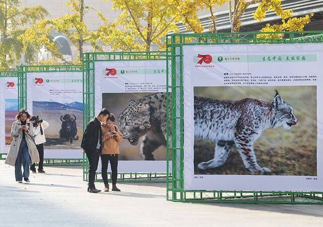 中国珍稀野生动物图片“亮相”王府井步行街