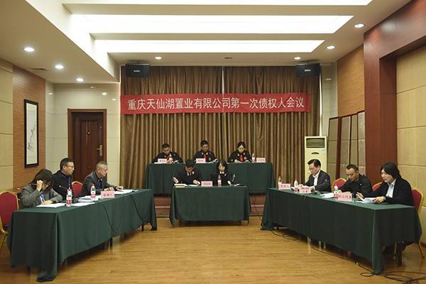 重庆天仙湖置业有限公司破产清算案顺利召开第一次债权人会议