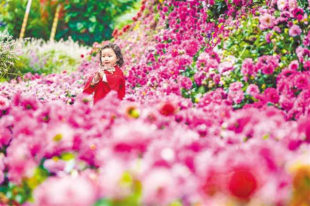 花博会树立人与自然和谐共生的样本