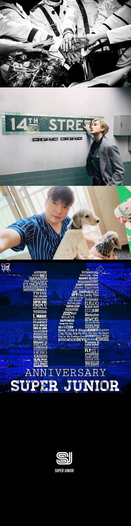 Super Junior庆祝出道14周年