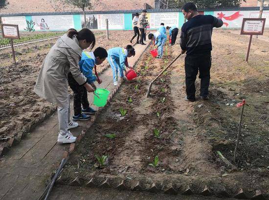 小学开辟荒地供学生