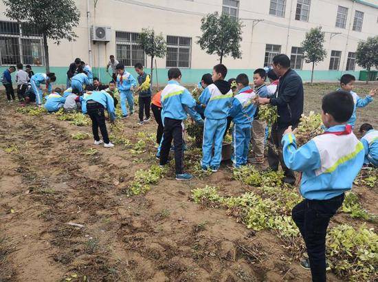 小学开辟荒地供学生