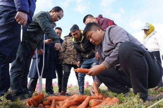 三大难点卡住中国“订单农业” 缺乏“契约精神”成主因