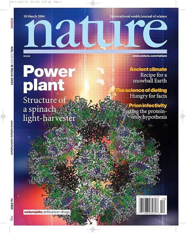 Zhenfeng Liu et al. Crystal structure of spinach major light-harvesting complex