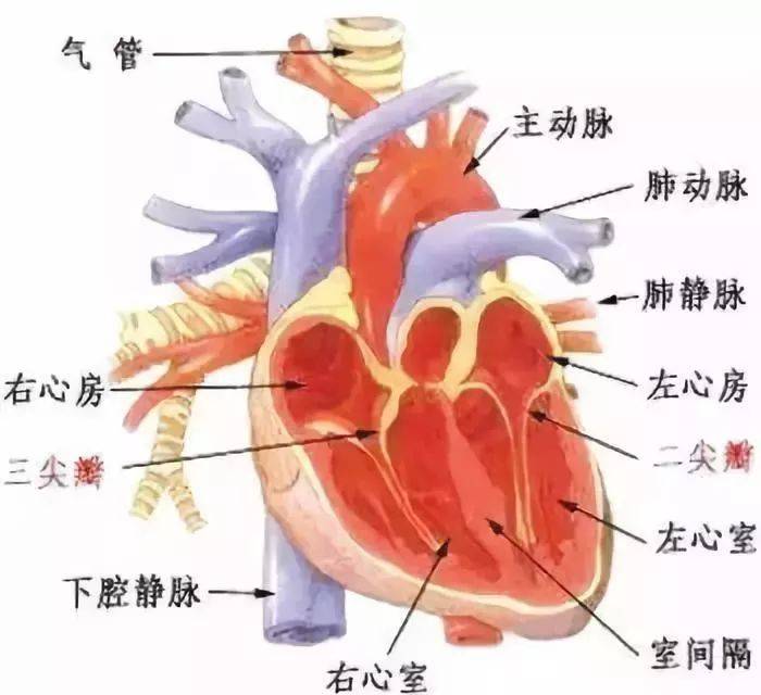 知名演员昨天突然去世！这病几分钟就可夺命！东莞人千万警惕！