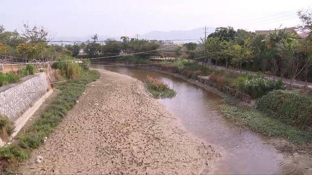 连续63天无有效降雨 福建厦门达气象重旱(图)