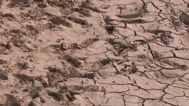 连续63天无有效降雨 福建厦门达气象重旱(图)