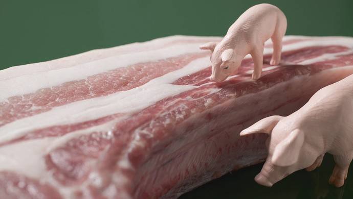 经济学家纪敏：猪肉生产多用些人工智能技术，对克服价格冲击有用