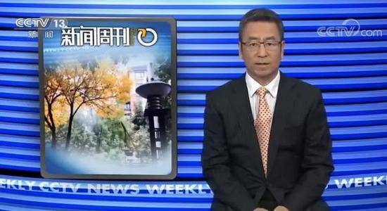 白岩松谈环卫工高压水枪冲树叶：别忘了实事求是