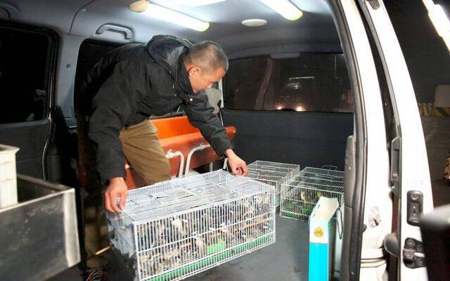 北京查获非法运输国家“三有”野生鸟类250余只