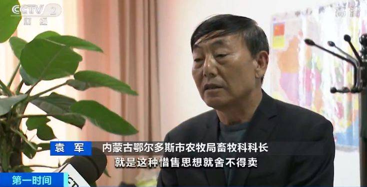 央视调查：内蒙古羊绒市场遇冷 厂商订单减三成