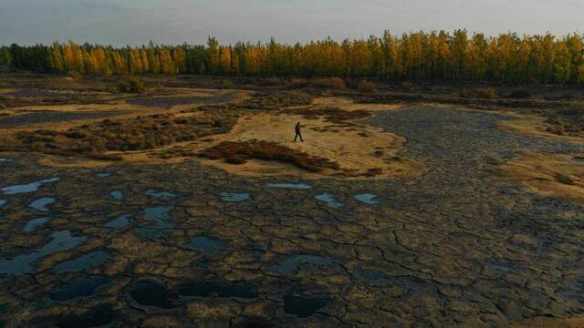 隐藏在美利林区内的污染地，经记者调查，总共有14处污染点，最大的面积有80多亩。