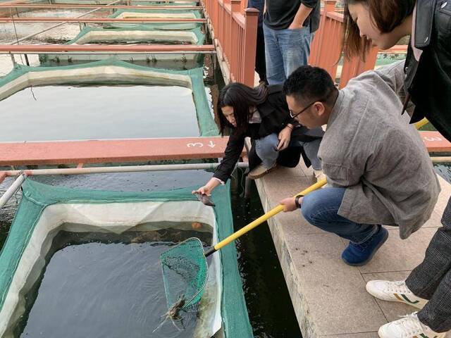 固城湖螃蟹热卖 高淳明年建成中国螃蟹城