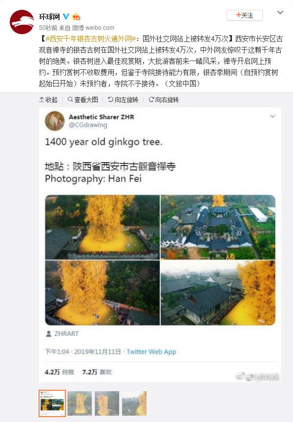 西安千年银杏古树火遍外网：社交网站上被转4万次