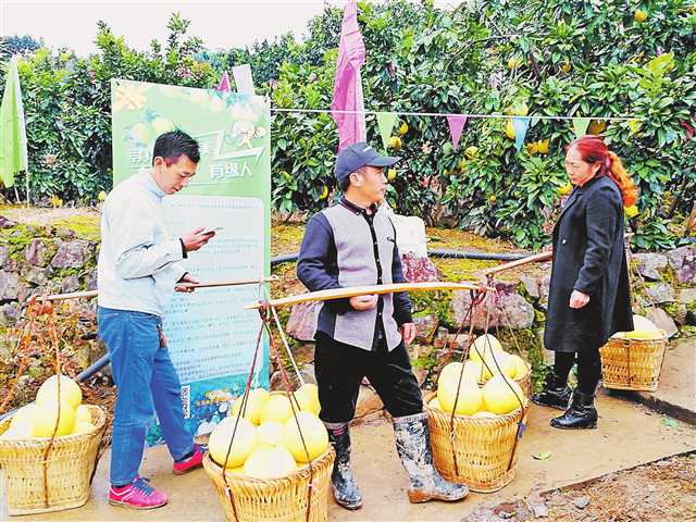 巫溪 消费扶贫闯新路 昂首阔步奔小康