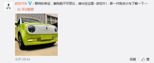 歌手孙燕姿要买电动车 各品牌齐上阵“自卖自夸”