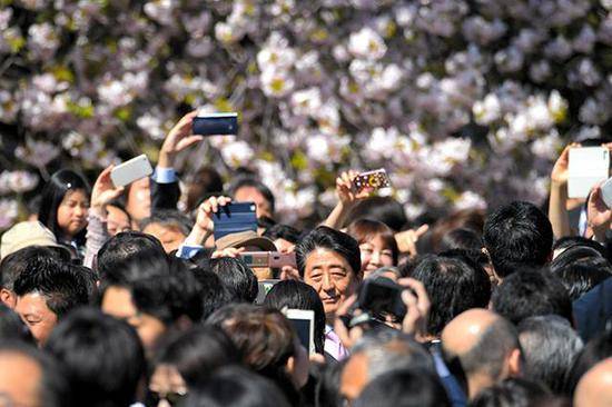 刚道歉又被查公款招待 安倍今后恐难安心“赏樱”