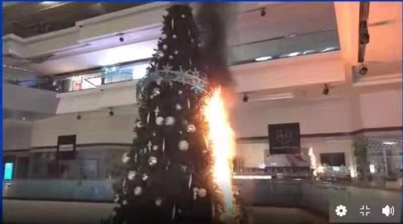 示威者在大学内点燃圣诞树。受访者供图