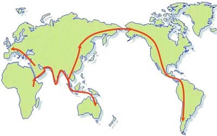 现代人的非洲起源示意图