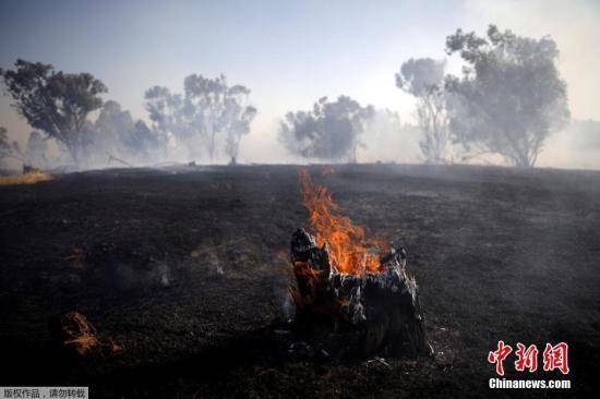 巴勒斯坦官员：以色列对加沙地带空袭已造成36死