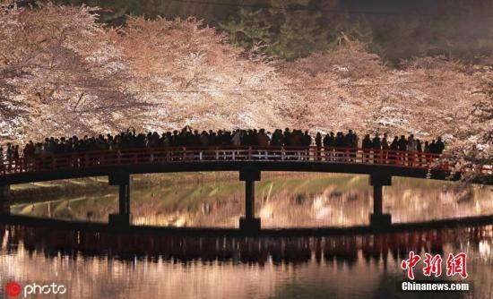 资料图：日本青森县弘前市弘前公园的樱花。图片来源：ICphoto版权作品请勿转载